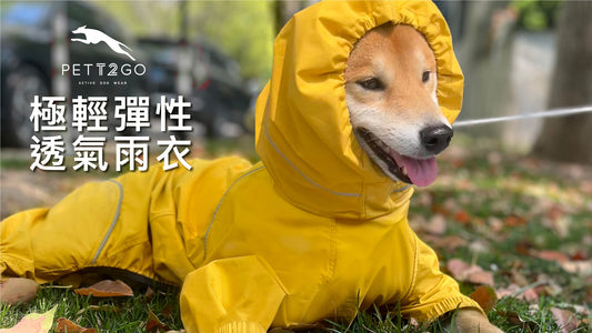 Quick On/Off: PETT2GO Breathable Raincoat