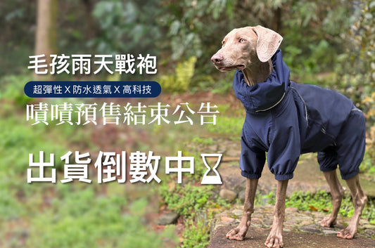 PETT2GO x 嘖嘖預售結束公告|出貨準備倒數中