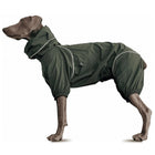 Lightweight Dog Windbreaker for Outdoor Adventures-Dark Olive