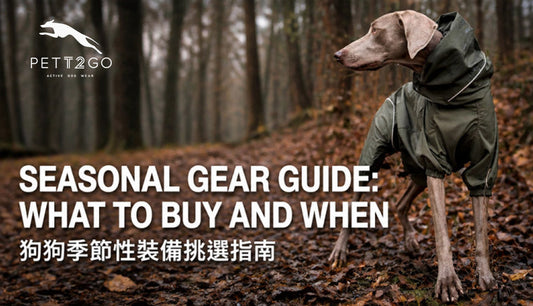 Seasonal Gear Guide: What to Buy and When for Pup