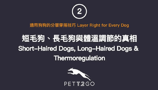 PETT2GO-Layer-Right-for-Every-Dog-2-of-3 PETT2GO