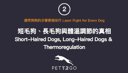 PETT2GO-Layer-Right-for-Every-Dog-2-of-3 PETT2GO