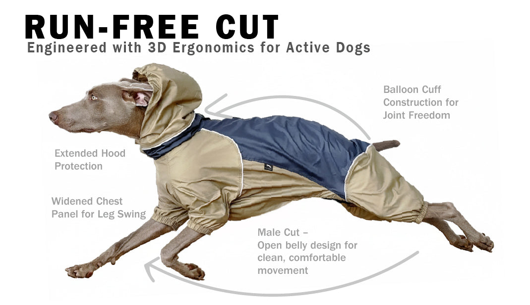 PETT2GO RUN-FREE CUT — Engineered with 3D Ergonomics for Active Dogs - PETT2GO