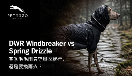 DWR Windbreaker vs Spring Drizzle: Enough or Need Raincoat?