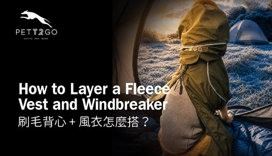 How to Layer a Fleece Vest and Windbreaker for Your Dog — Without Bulk or Restriction
