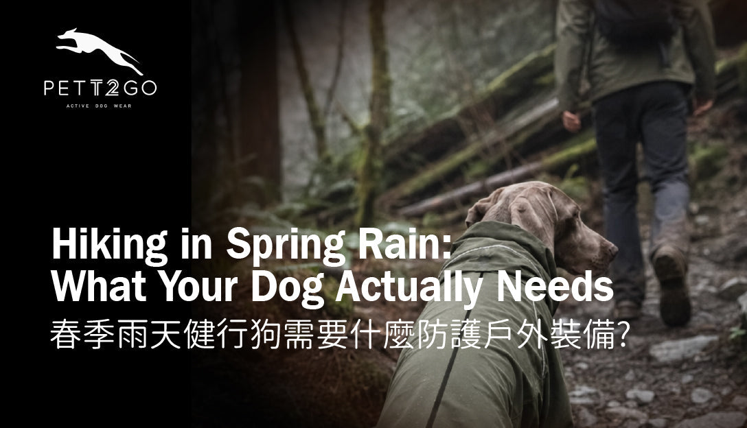 Hiking in Spring Rain: What Your Dog Actually Needs