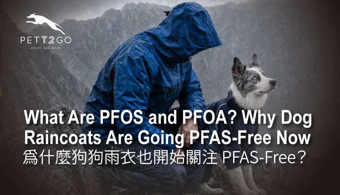 What Are PFOS and PFOA? Why Even Dog Raincoats Are Going PFAS-Free Now