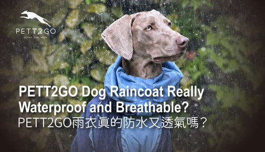 Is PETT2GO's Dog Raincoat Really Waterproof and Breathable?