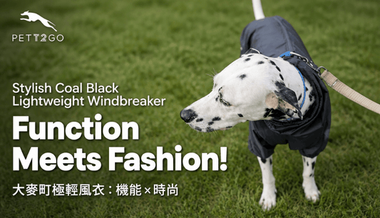 Dashing Dalmatian Unboxes Stylish Coal Black Windbreaker | Function Meets Fashion! - PETT2GO