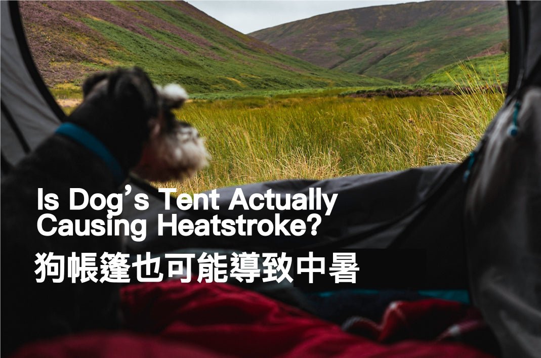 Is Dog’s Tent Actually Causing Heatstroke? - PETT2GO