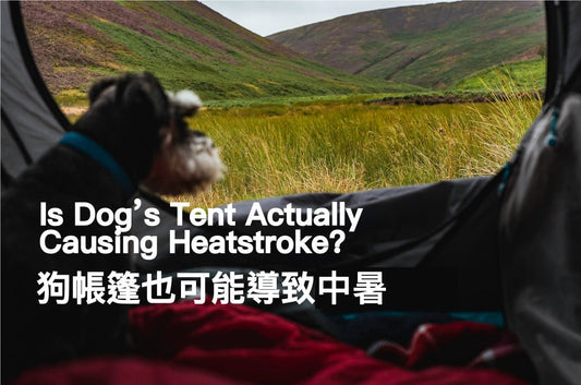 Is Dog’s Tent Actually Causing Heatstroke? - PETT2GO