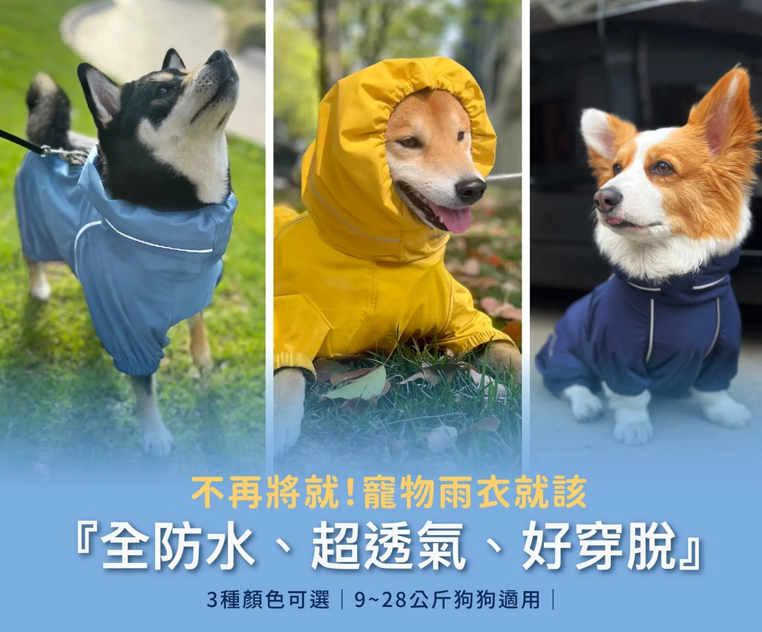 🌟【抽獎結果公布】PETT2GO 極輕彈性防水雨衣 恭喜三位得奖🌟 - PETT2GO