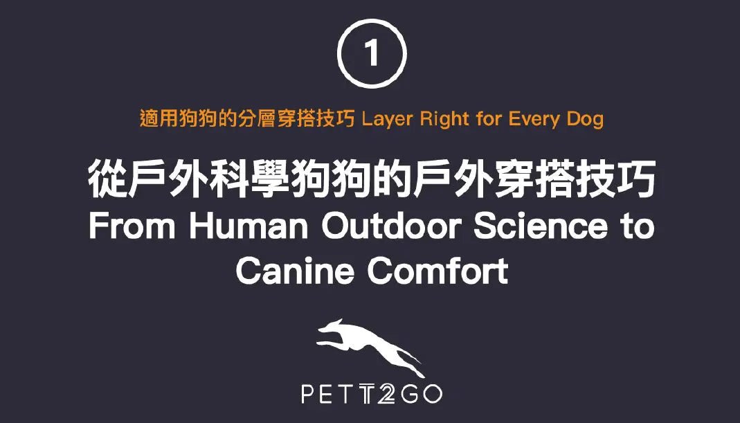 PETT2GO | Layer Right for Every Dog 01 — From Human Outdoor Science to Canine Comfort - PETT2GO