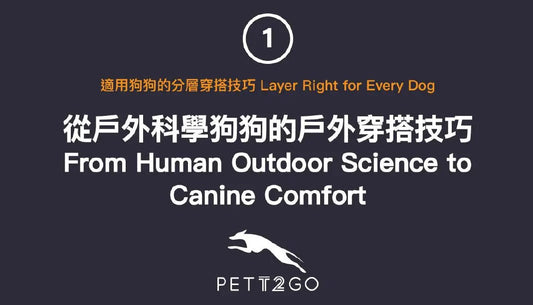 PETT2GO | Layer Right for Every Dog 01 — From Human Outdoor Science to Canine Comfort - PETT2GO