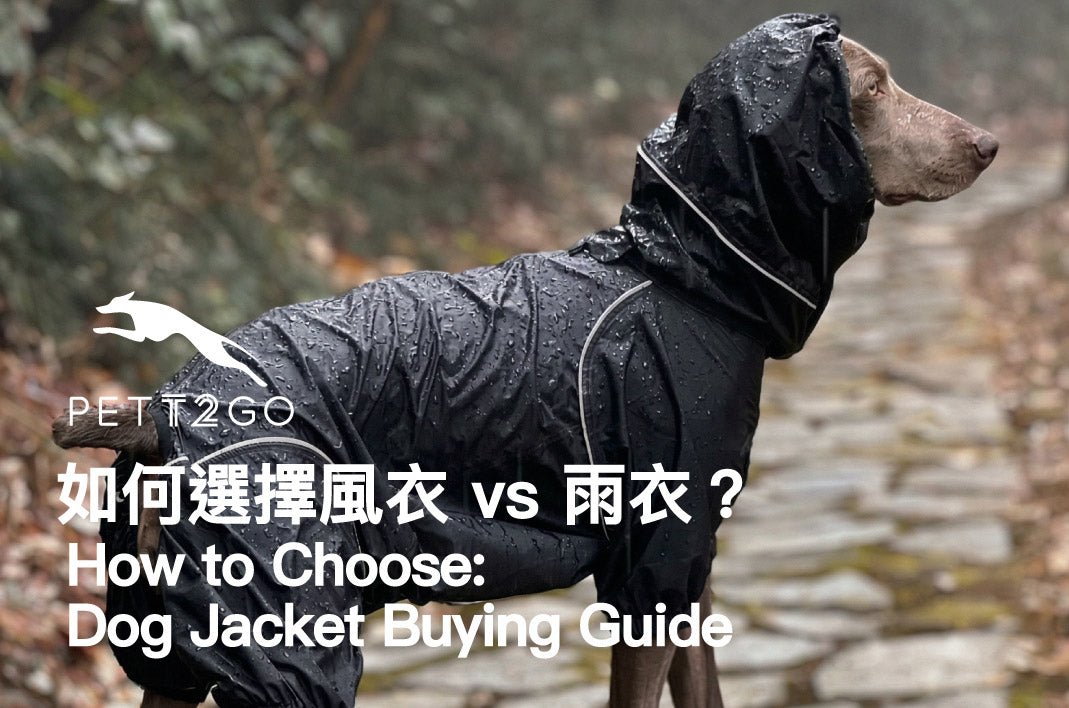 PETT2GO Windbreaker vs. Raincoat: How to Choose - PETT2GO