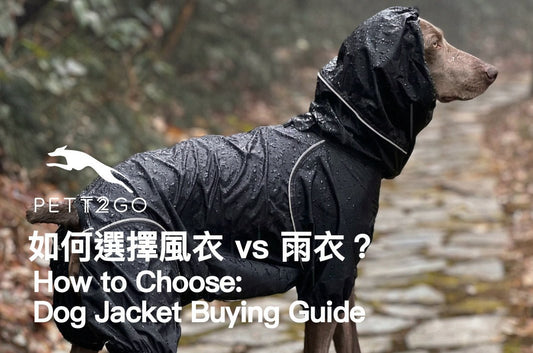 PETT2GO Windbreaker vs. Raincoat: How to Choose - PETT2GO