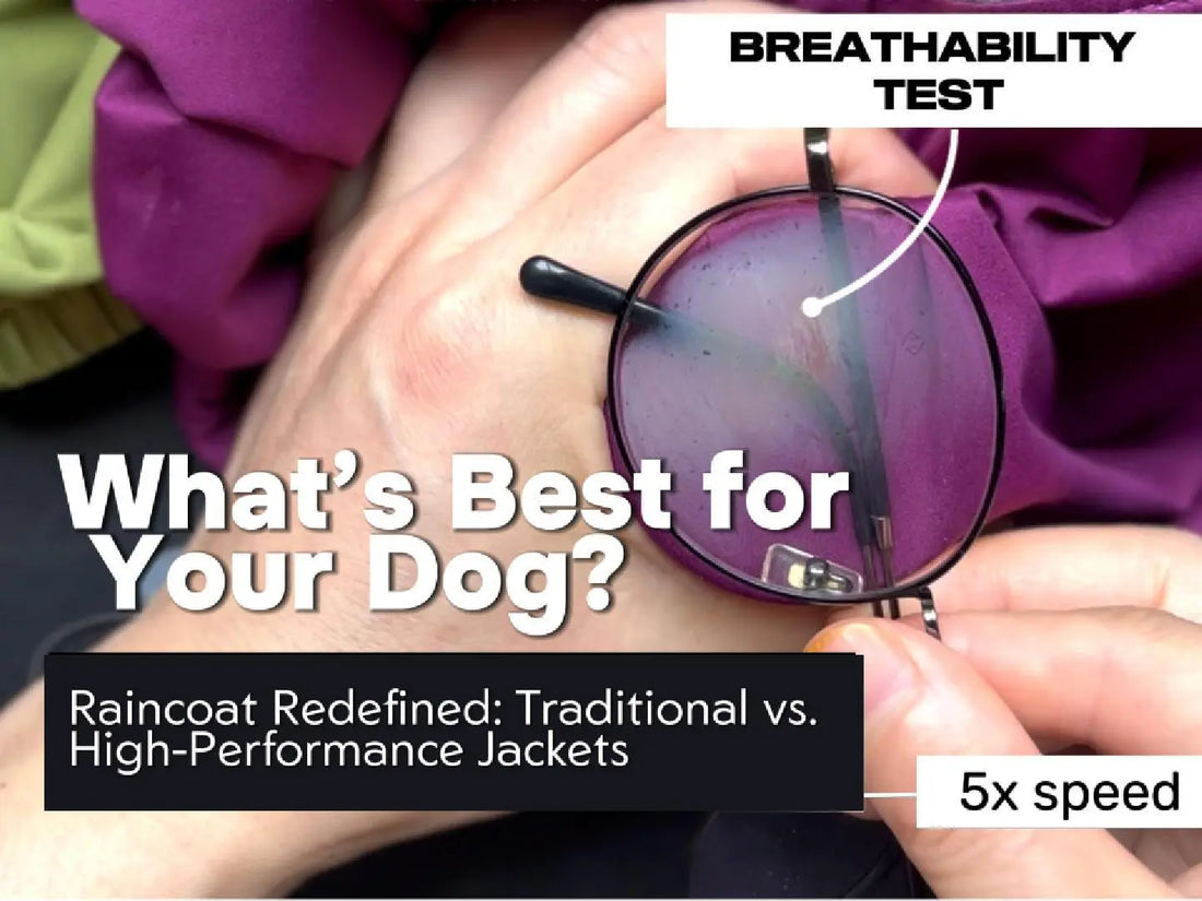 Traditional vs. PETT2GO Dog Breathable Raincoat - PETT2GO
