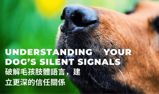 Understanding Your Dog’s Silent Signals - PETT2GO