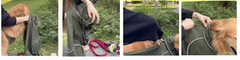 450A34AE.gif__PID:3d3ec20e-15d5-4c94-906e-91527909fc60