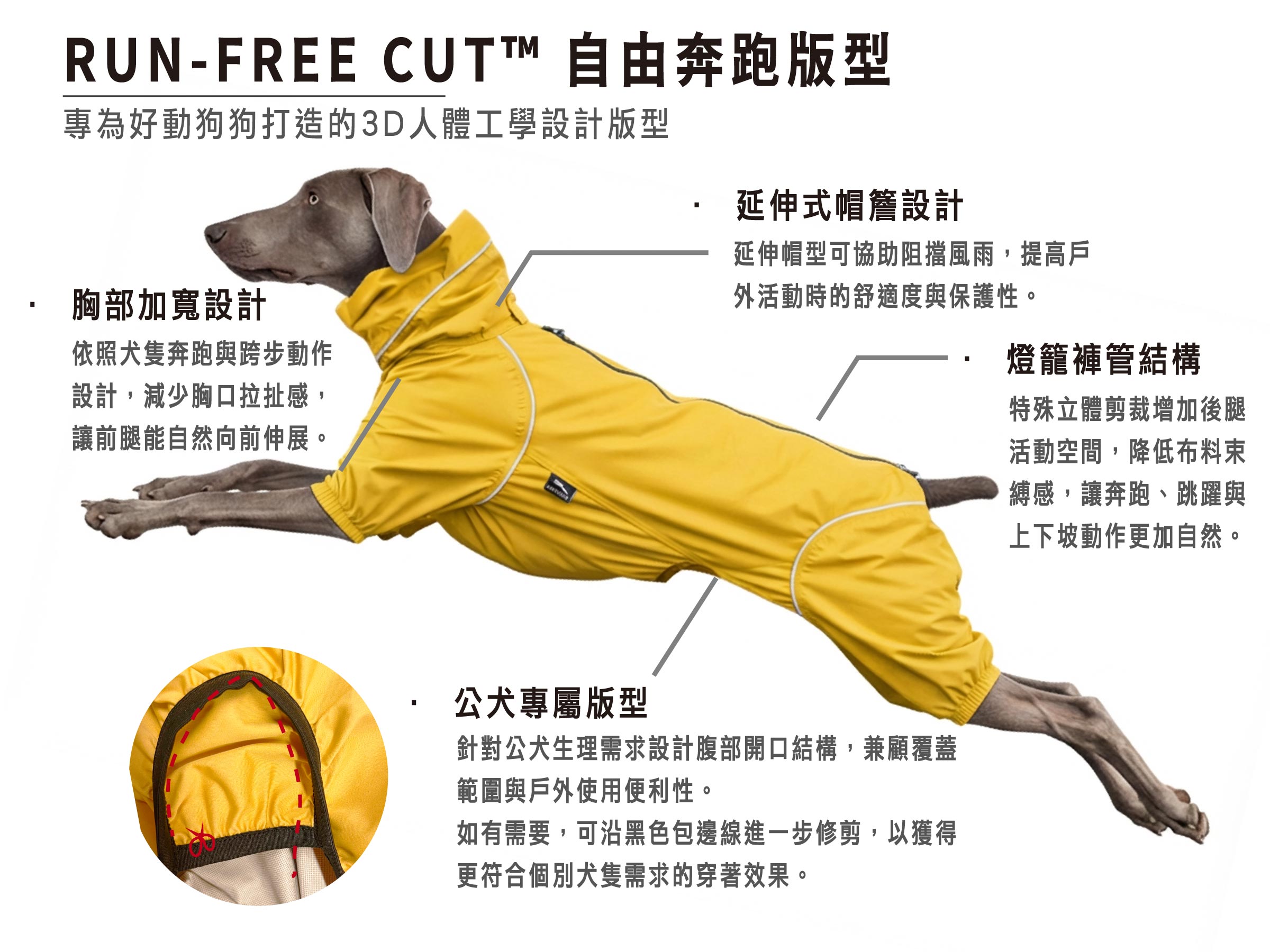 Dog wearing a yellow raincoat with text and diagrams on a white background