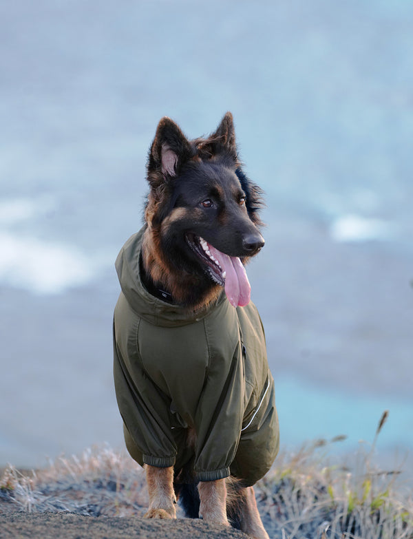 Best outdoor jacket for large dog :Lightweight dog windbreaker shell with balloon cuffs to block sudden chills and ticks on spring walks.