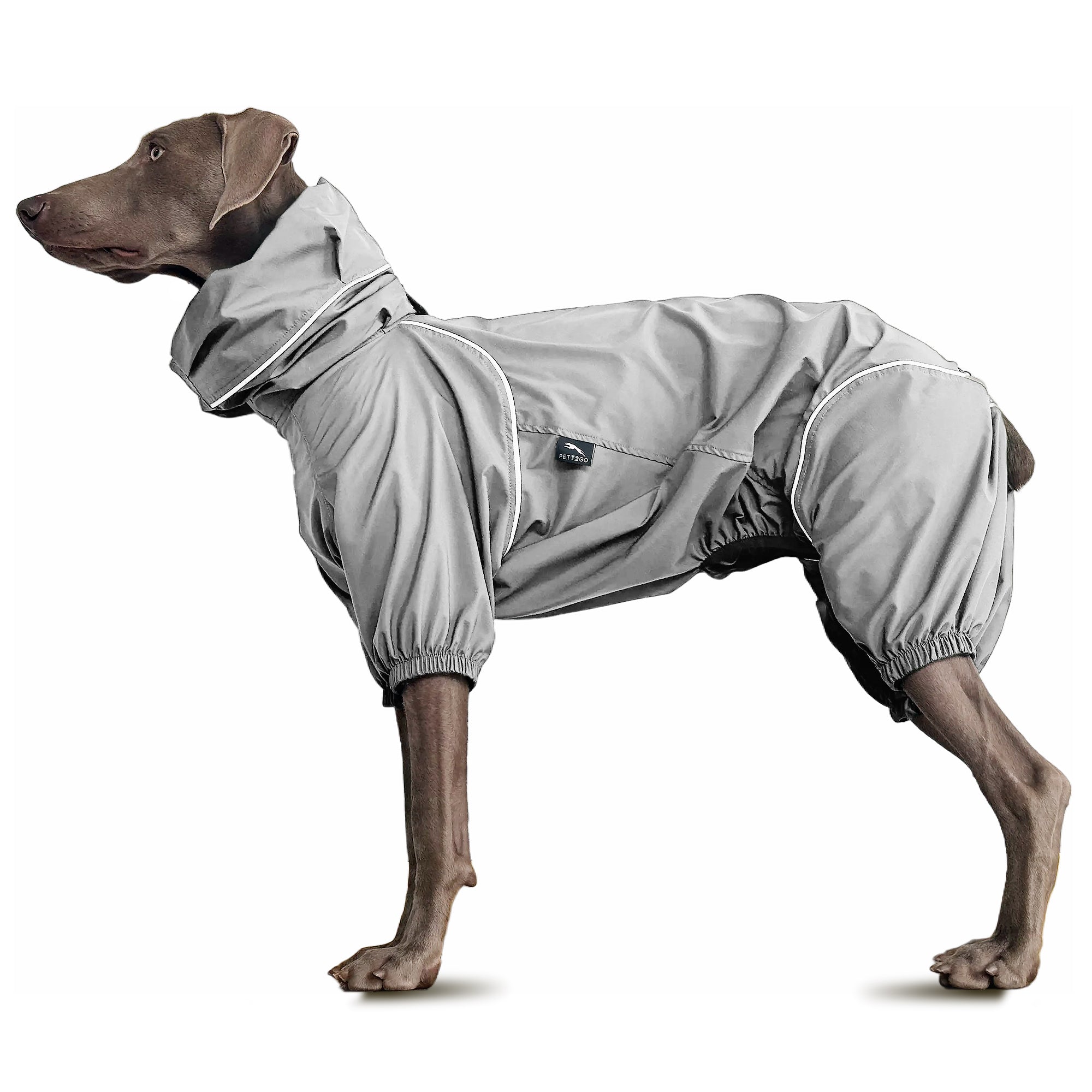 bazo1199 dog グレー Pett2go Amazon Store – PETT2GO