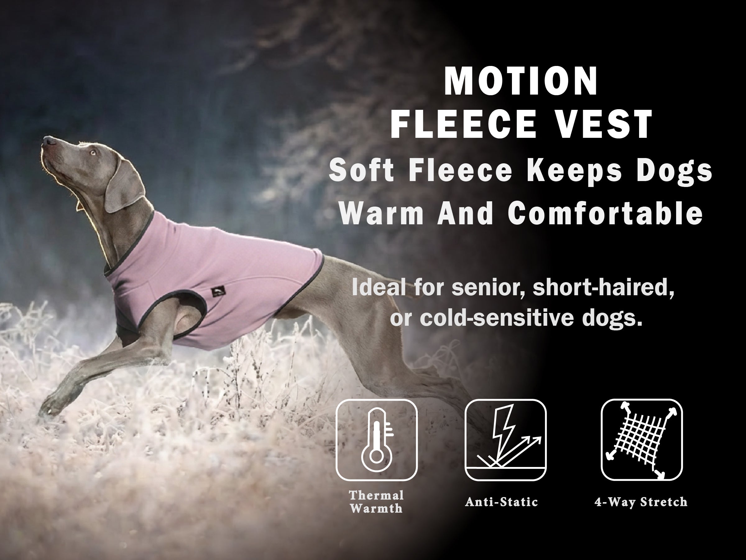 PETT2GO-active dog running outdoors wearing lightweight fleece dog sweater for trail walks in cold days.