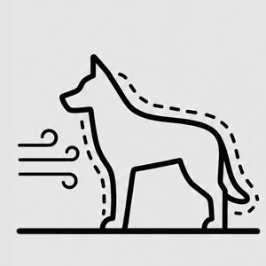 Line drawing of a dog with a dotted line indicating measurement on a light gray background