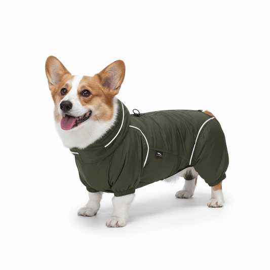 Corgi Lightweight Windbreaker-Dog Outdoor Jacket-Dark Olive[USA] - PETT2GO