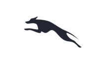 <strong>FREEDOM of MOVEMENT</strong>