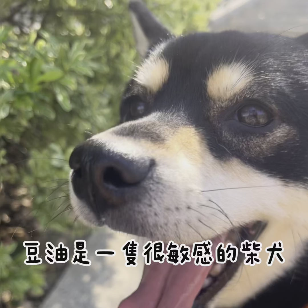 載入影片：
